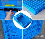 PP توزیع توزیع بسته بندی تاشو جعبه پلاستیکی برای سوپرمارکت / ذخیره سازی خانه